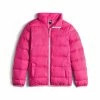 The North Face Andes Down Jacket Girls' 2 The North Face Andes Down Jacket Girls' -Winter Clothing Shop 10192 CABARET PINK m