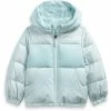 The North Face Moondoggy Down Hooded Jacket Toddlers' 1 The North Face Moondoggy Down Hooded Jacket Toddlers' -Winter Clothing Shop 103615 ICE BLUE m