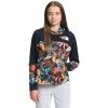 The North Face Street Logo Pullover Hoodie Girls'