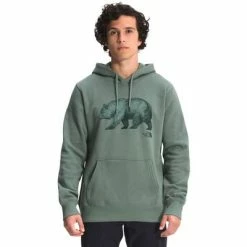 The North Face TNF Bear Pullover Hoodie Men's -Winter Clothing Shop 103656 LAURELWREATHGRN m