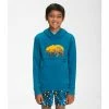 The North Face Camp Fleece Pullover Hoodie Boys' -Winter Clothing Shop 103882 BANFF BLUE m