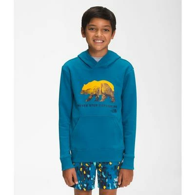 The North Face Camp Fleece Pullover Hoodie Boys' 3 The North Face Camp Fleece Pullover Hoodie Boys'