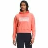 The North Face Logo Play Hoodie Women's
