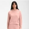 The North Face Simple Logo Hoodie Women's -Winter Clothing Shop 105454 EVENING SAND PINK m