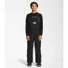 The North Face Teen Freedom Insulated Snow Bibs Kids'