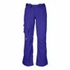 The North Face Shawty Pants Women's