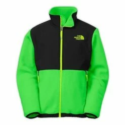 The North Face Denali Jacket Boys' -Winter Clothing Shop 11729 RECYCLED KRYPTON GRN m