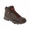 The North Face Hedgehog Hike Mid Gore-Tex Shoes Men's