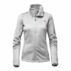 The North Face Pink Ribbon Osito 2 Jacket Women's -Winter Clothing Shop 2782 HIGH RISE GREY m