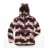 The North Face Campshire Pullover Hoodie Women's -Winter Clothing Shop 36237 DUNBGCLFRNBSKPT m