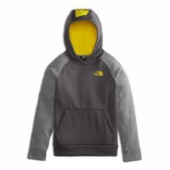 The North Face Surgent 2.0 Pullover Hoodie Boys'