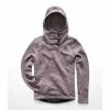 The North Face Crescent Hooded Pullover Women's
