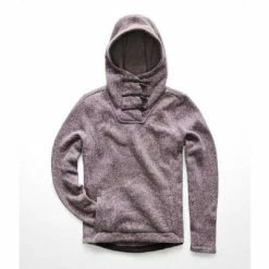 The North Face Crescent Hooded Pullover Women's
