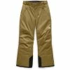 The North Face Freedom Insulated Snow Pants Boys' 2 The North Face Freedom Insulated Snow Pants Boys' -Winter Clothing Shop 37006 BRTSKHKBRTSKHK m