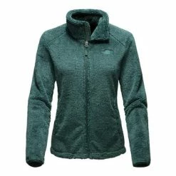The North Face Osito 2 Jacket Women's -Winter Clothing Shop 7279 BALSAM GREEN STRIPE m