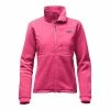 The North Face Denali 2 Jacket Women's -Winter Clothing Shop 7725 CERISE PINK m