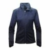 The North Face Novelty Osito Jacket Women's