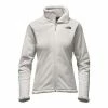 The North Face Morninglory 2 Jacket Women's -Winter Clothing Shop 7819 LUNAR ICE GREY m