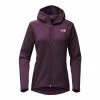 The North Face Momentum Hoodie Women's