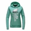 The North Face Trivert Pullover Hoodie Women's 1 The North Face Trivert Pullover Hoodie Women's -Winter Clothing Shop 8309 AGATE GRNSILVR FOIL m