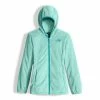 The North Face Oso 2 Hoodie Girls'