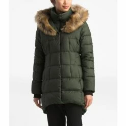 The North Face Dealio Down Parkina Parka Women's