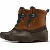 The North Face Shellista III Shorty Winter Boots Women's 1 The North Face Shellista III Shorty Winter Boots Women's -Winter Clothing Shop 91598 DMTSSBNCARAFBN m