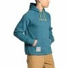 The North Face Rogue Graphic Pullover Hoodie Men's